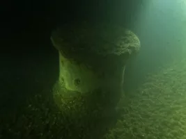 Divers
